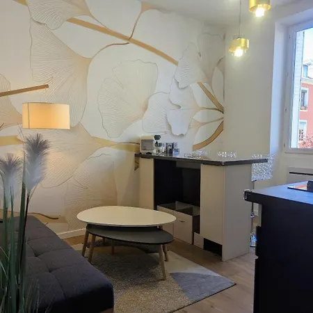 Appartement Calme Serenite Et Lumiere Grenoble